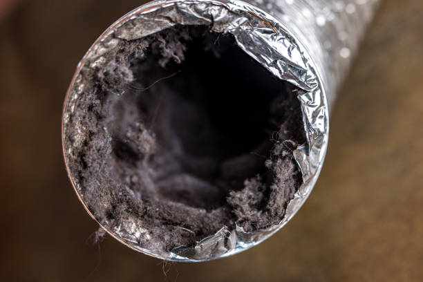 Best HVAC Maintenance and Cleaning  in Clinton, KY