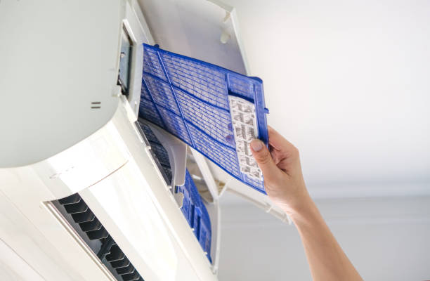 Best Duct Cleaning Specialists  in Clinton, KY