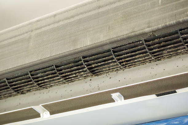 Best Local Air Duct Cleaning Services  in Clinton, KY